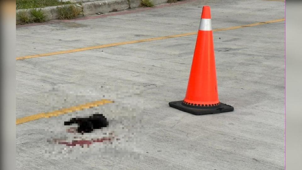 小黑狗疑遭路殺陳屍停車場。（圖／民眾提供）