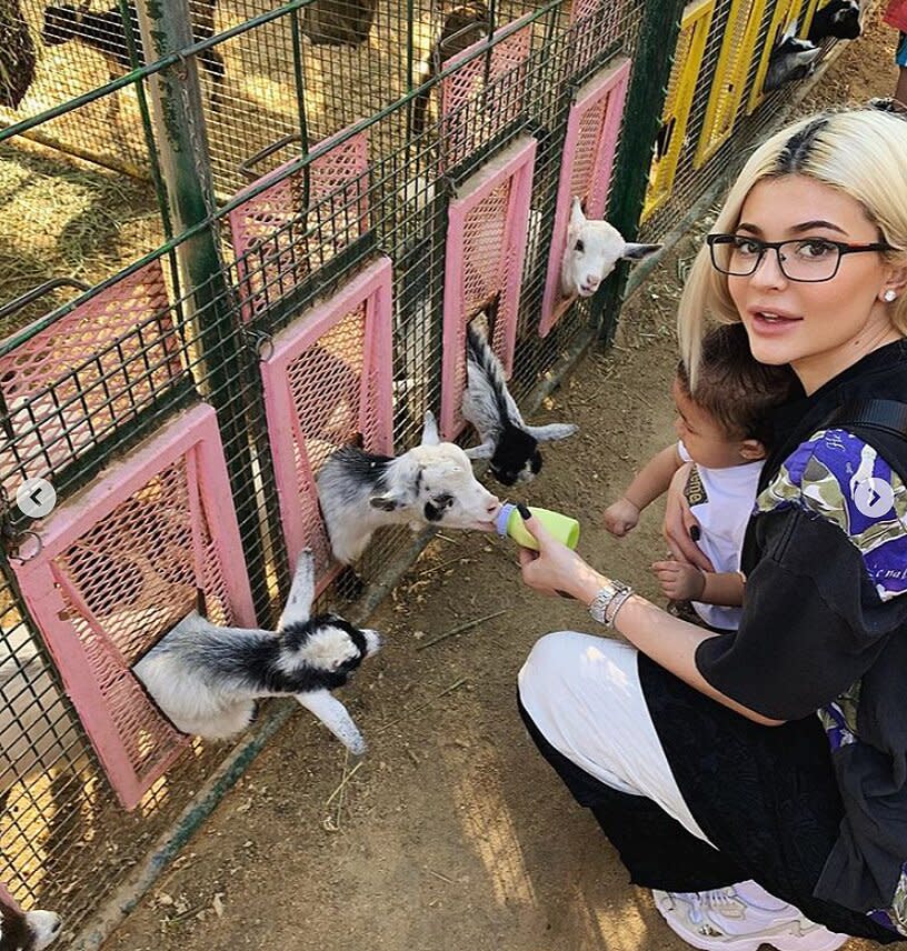 Here they are at a petting zoo.