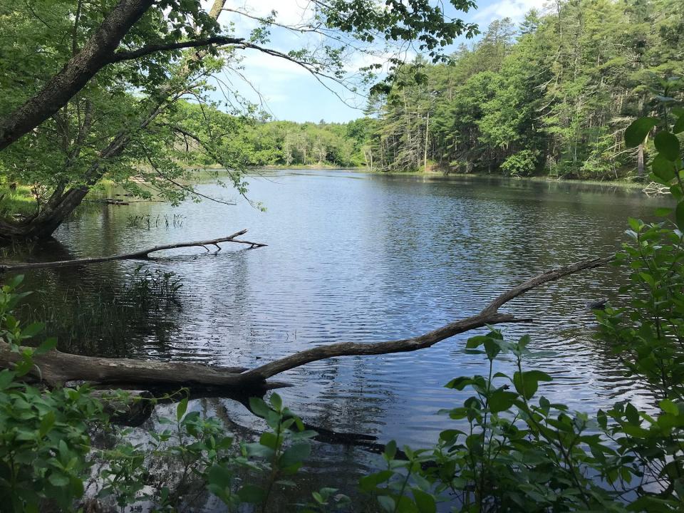 The placid, L-shaped Upper Pond was created by building a dam on Fisherville Brook.