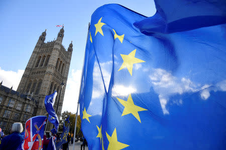 FILE PHOTO: Anti-Brexit demonstrators wave flags outside the Houses of Parliament in London, Britain, November 13, 2018. REUTERS/Toby Melville/File Photo