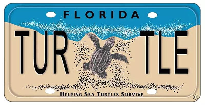Photo of Helping Sea Turtles Survive license plate