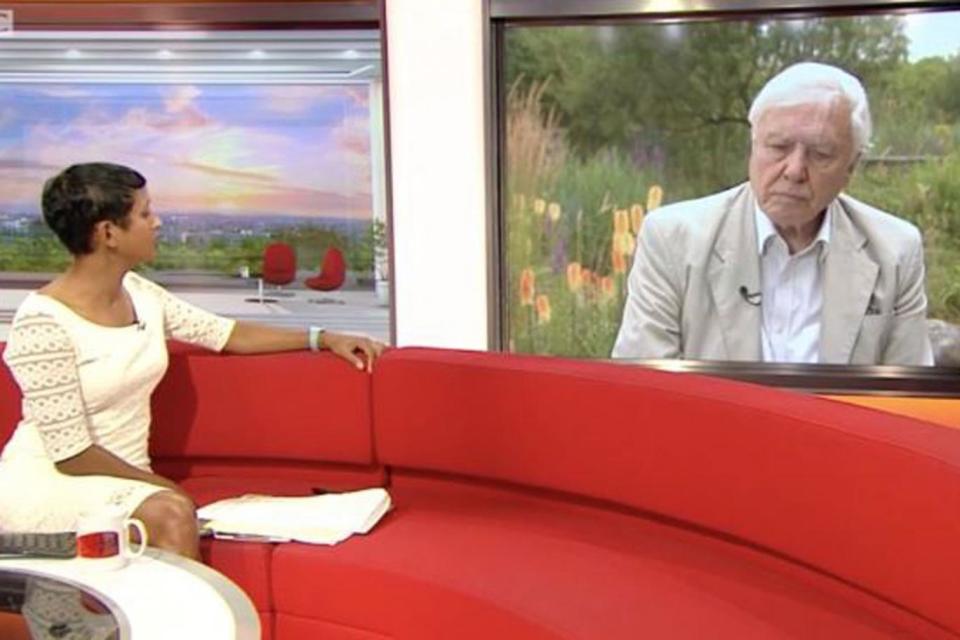 Unimpressed: Sir David Attenborough didn't appear to be a fan of Naga Munchetty's questions (BBC)