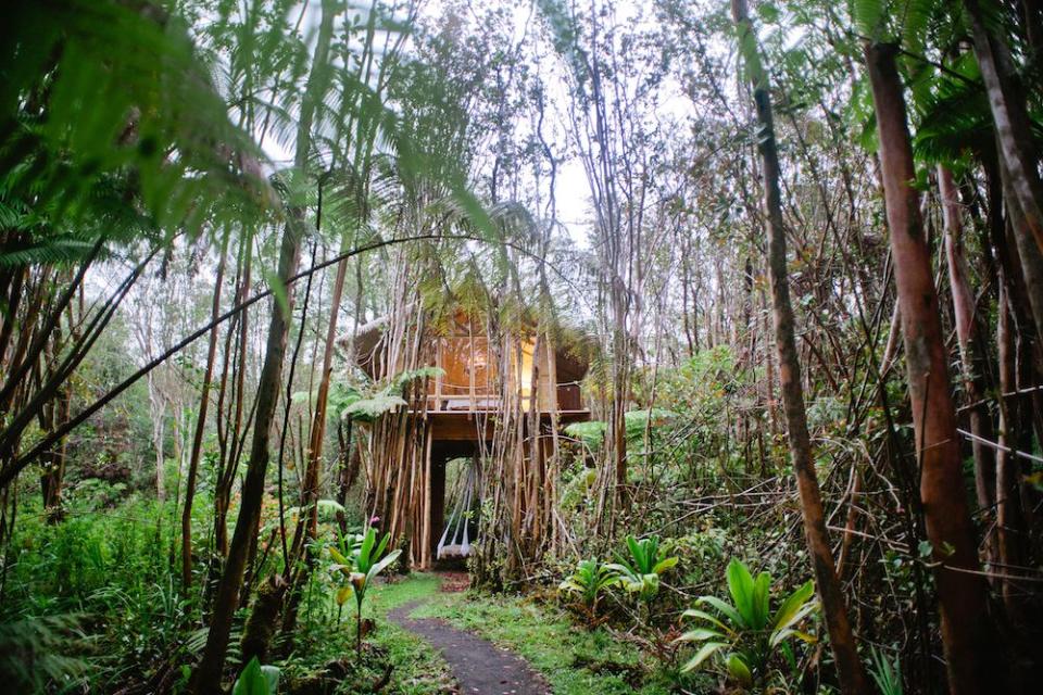 5) Dreamy Tropical Treehouse (Fern Forest, Hawaii)