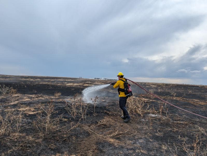 Aurora Fire Rescue said two farms and the homes there were saved from a large grass fire in Arapahoe County Sunday night. (Aurora Fire Rescue)