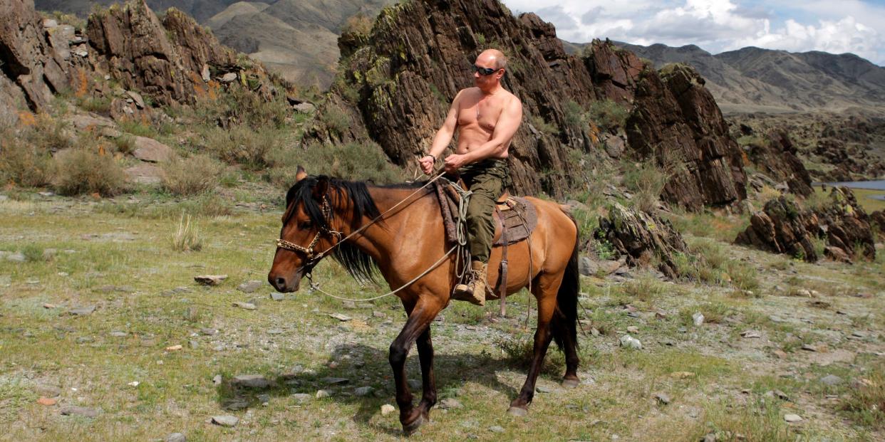 Putin Horse Nature Environment