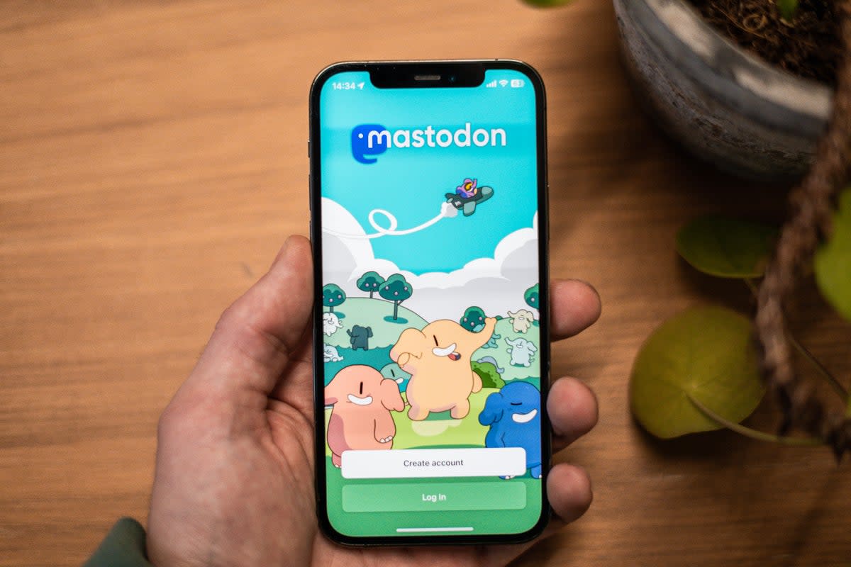 Mastodon, an open-source alternative to Elon Musk’s Twitter / X, is named after an extinct species of elephant from the Ice Age (Battenhall / Unsplash)