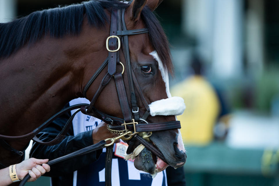 Tiz the Law at the 146th Kentucky Derby