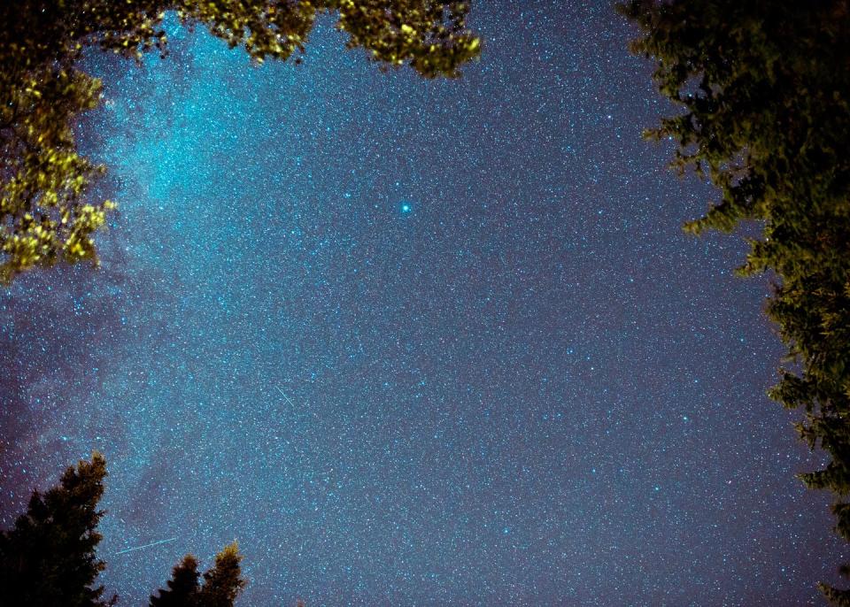 stars at night in kielder forrest