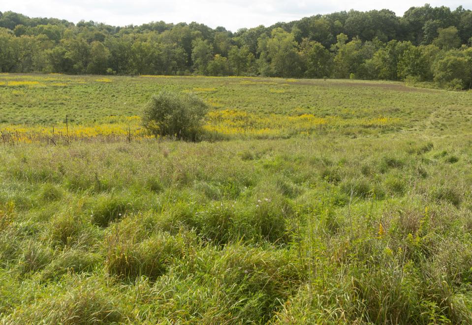 Stark Parks will convert this property in Pike Township that once held the city wastewater plant and sludge farm into a park geared toward horse riding and hiking. This field will house an archery range.