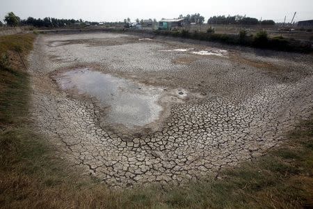 A shrimp farm affected by drought is seen in Bac Lieu province, in the Mekong Delta, Vietnam March 30, 2016. REUTERS/Kham