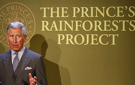 英國王儲查爾斯於2007年10月發起「王子雨林計畫」（AP）