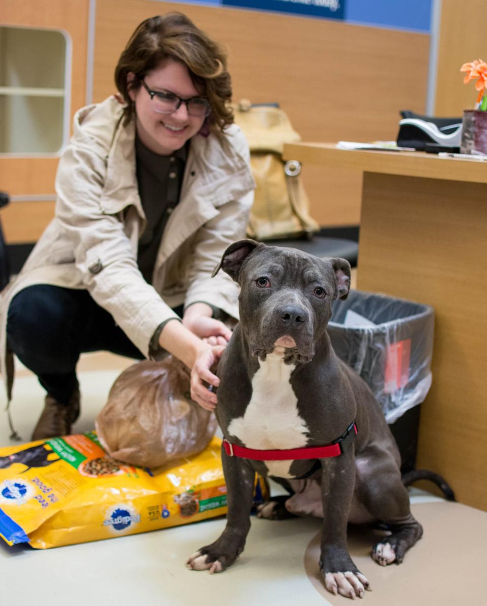 After gaining the confidence to leave the plum box in which he was found, Plum joined a loving home. (Courtesy of LifeLine Animal Project)