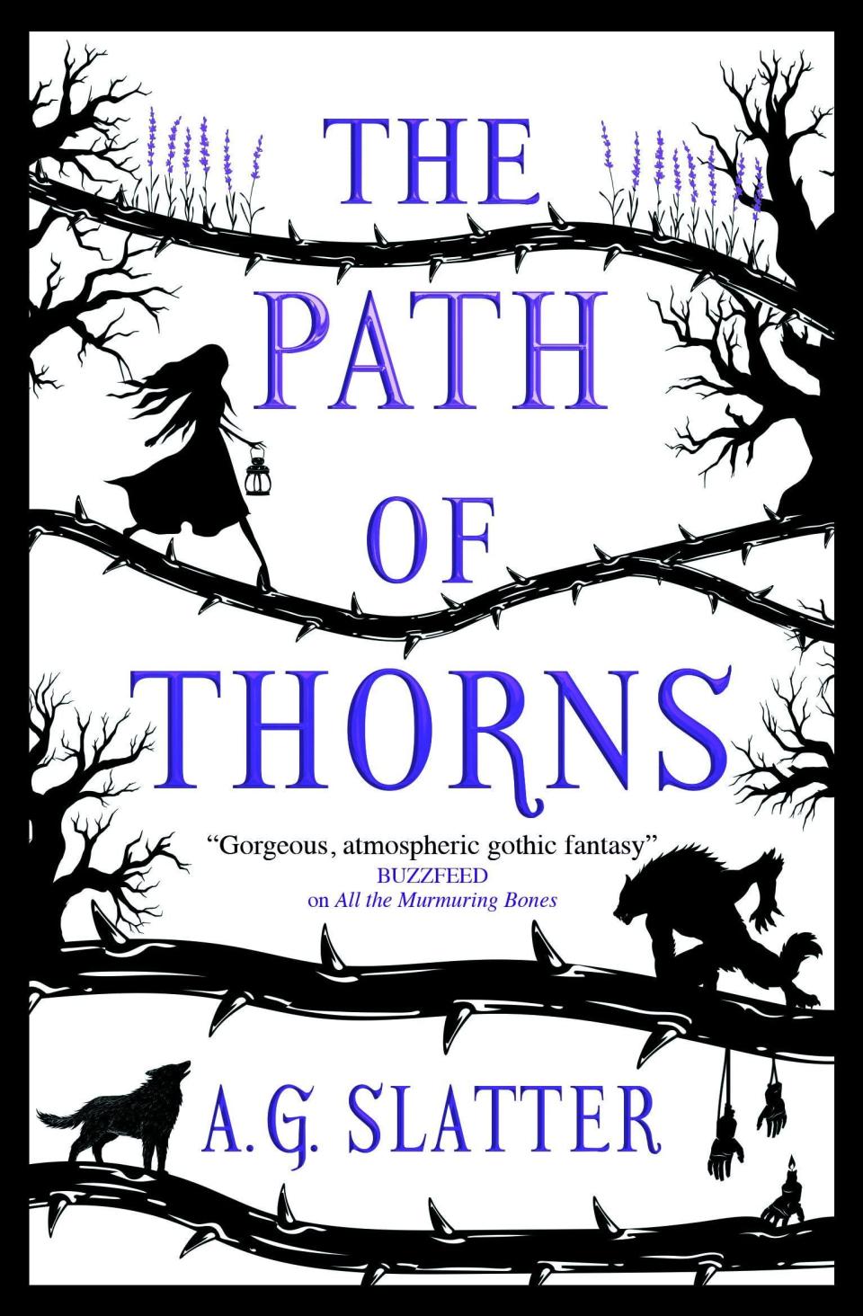 25) <i>The Path of Thorns</i> by A.G. Slatter