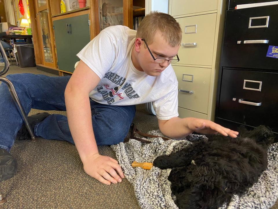 Chase Marsh pets his buddy Rocky, a goldendoodle that's now part of Tammie Radican's classroom at Plymouth High School.