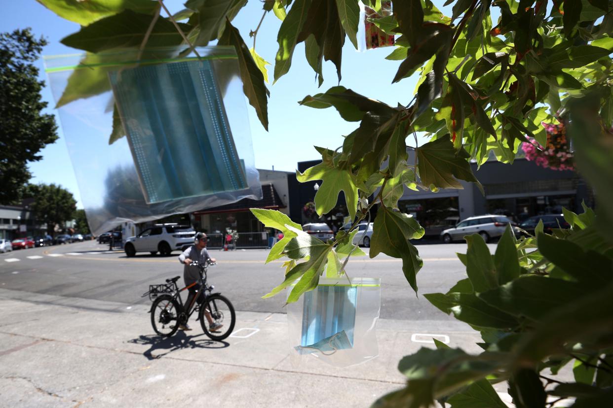 Surgical masks in Ziploc bags hang from a tree at Creek Park on Aug. 10, 2020, in San Anselmo, Calif.