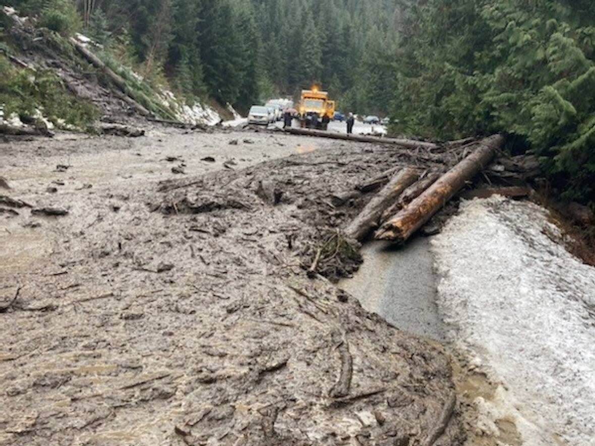 Fallen trees and debris are pictured on Monday, Nov. 15 after flooding near Lillooet, B.C., triggered a landslide that swept across Highway 99. (B.C. Ministry of Transportation/Reuters - image credit)