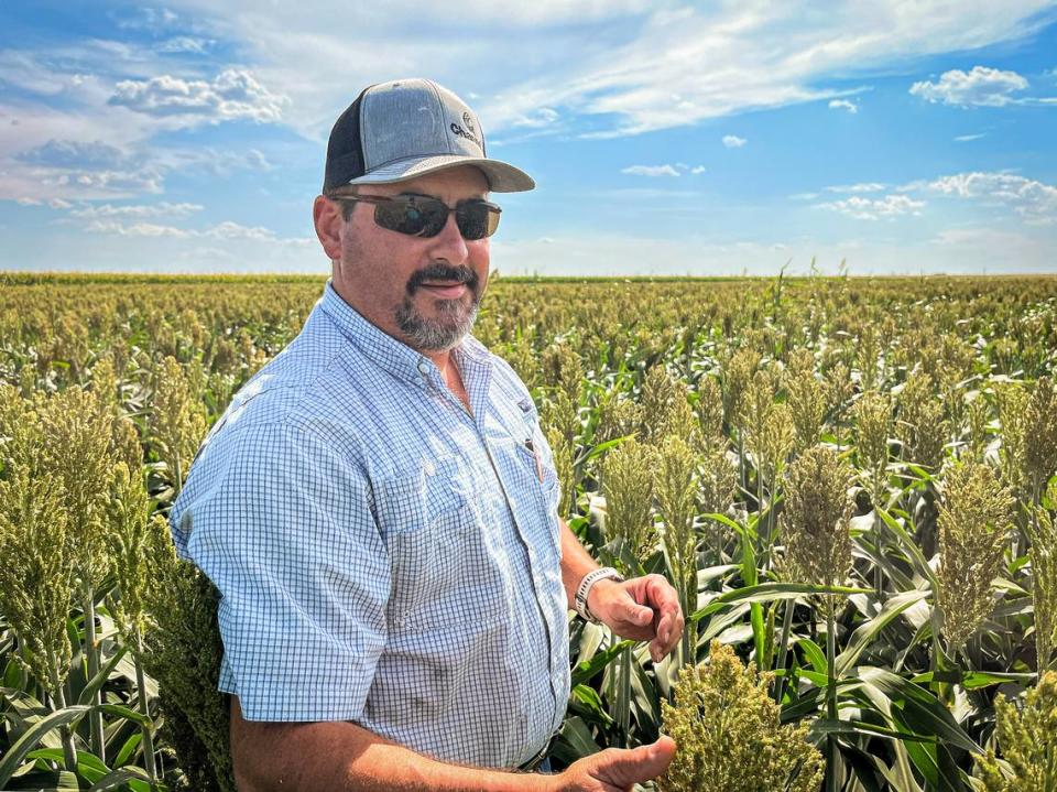 Kansas farmer Brant Peterson says he has been reducing the amount of land he irrigates due to a declining water table in the Ogallala Aquifer.