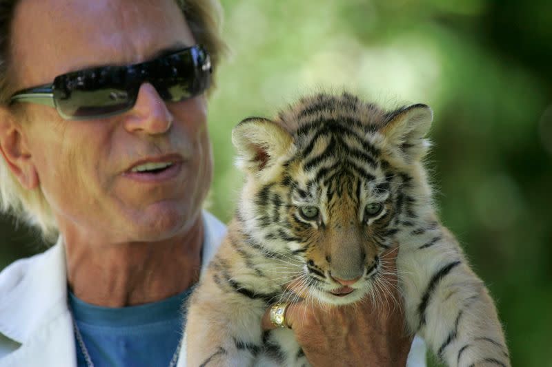 Illusionist Siegfried Fischbacher displays a 6-week-old tiger cub at his home in Las Vegas