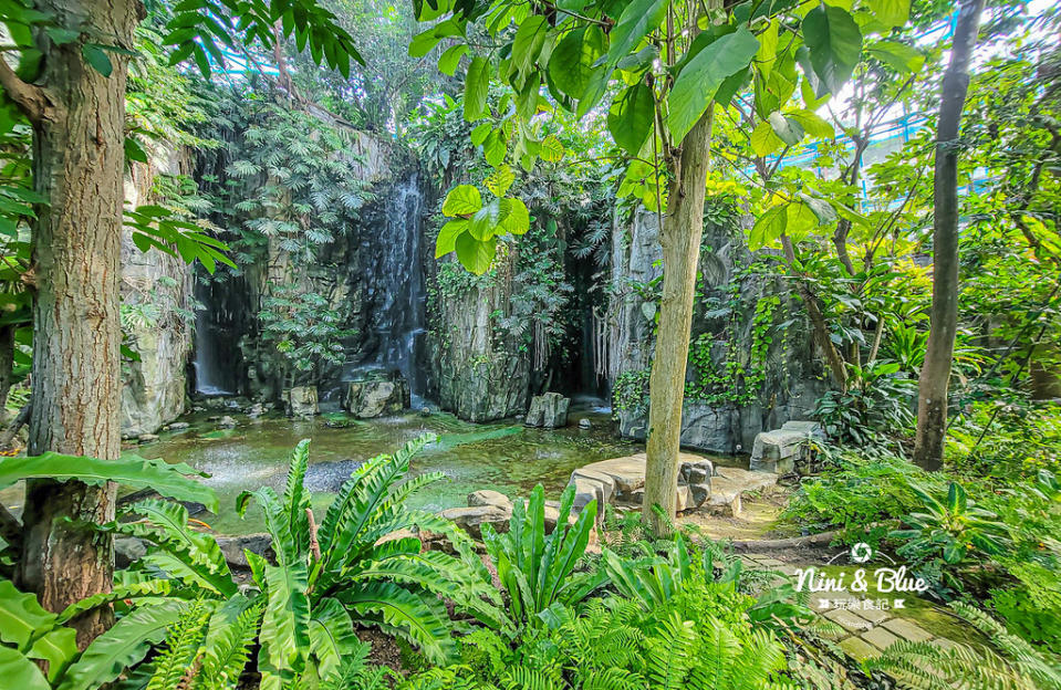 台中｜國立自然科學博物館植物園