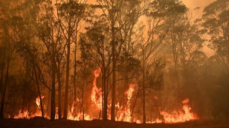 Los incendios están ocurriendo en zonas de la costa este y sur, que es donde vive la mayoría de la gente. Estas zonas incluyen áreas alrededor de Sídney y Adelaida. Se estima que unas 1.500 viviendas fueron destruidas. Este auto se encuentra en Sarsfield, en el sur de Australia.