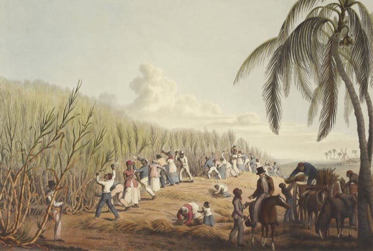 <span class="caption">Slaves cutting the sugar cane on the Island of Antigua, 1823.</span> <span class="attribution"><a class="link " href="https://unsplash.com/photos/atIgjLlFryg" rel="nofollow noopener" target="_blank" data-ylk="slk:British Library/Unsplash;elm:context_link;itc:0;sec:content-canvas">British Library/Unsplash</a>, <a class="link " href="http://artlibre.org/licence/lal/en" rel="nofollow noopener" target="_blank" data-ylk="slk:FAL;elm:context_link;itc:0;sec:content-canvas">FAL</a></span>