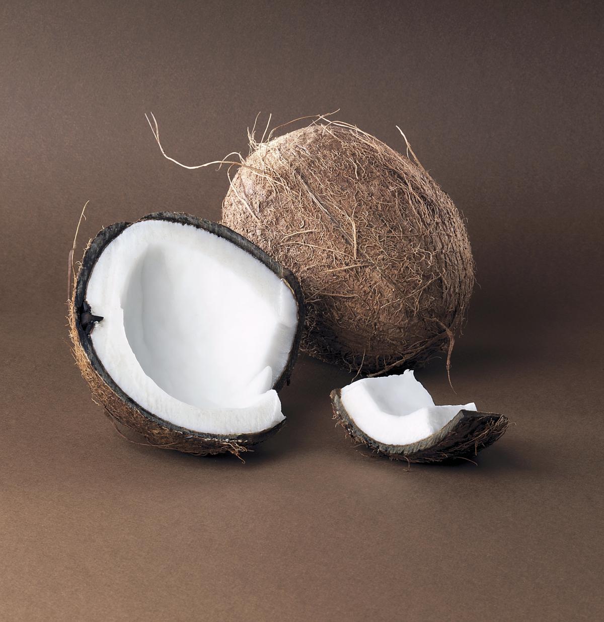 A Major Coconut Shortage With Global Consequences May Hit the Caribbean