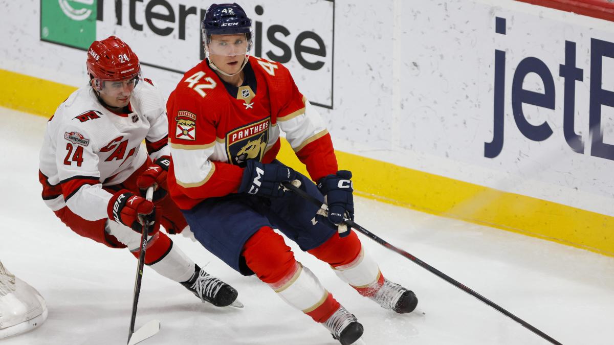 Carolina Hurricanes - Florida Panthers - May 18, 2023