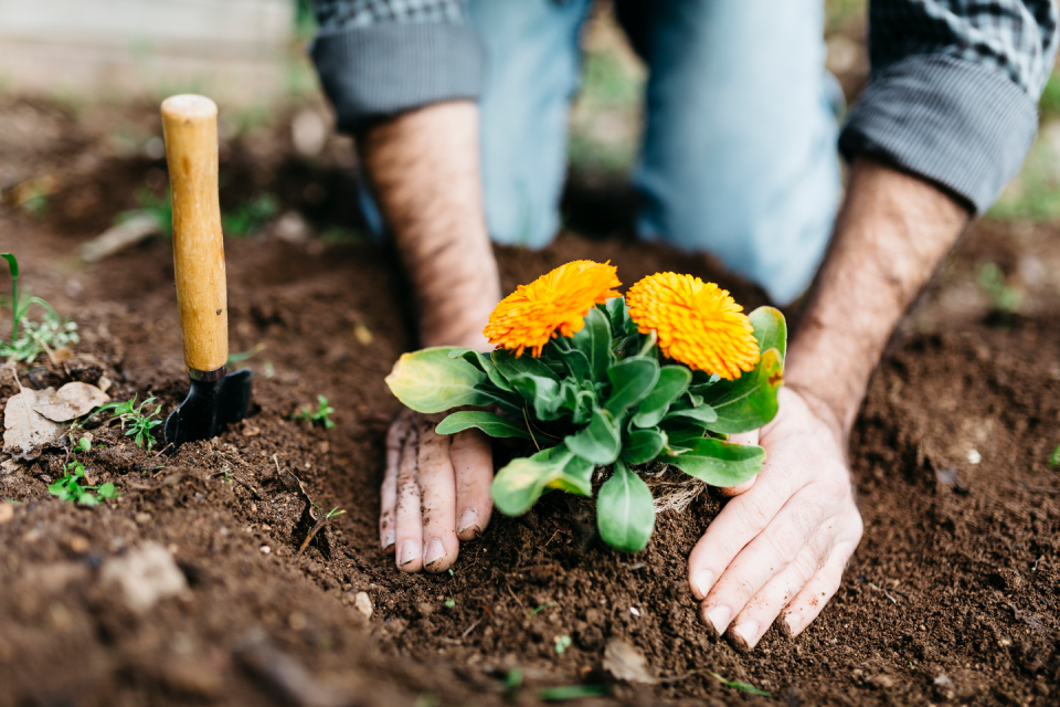 Plant some flowers.