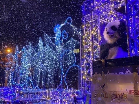 Antwon the panda waves to spectators from onboard the Smithsonian Zoo Lights mobile display in Washington, D.C. during winter 2020.