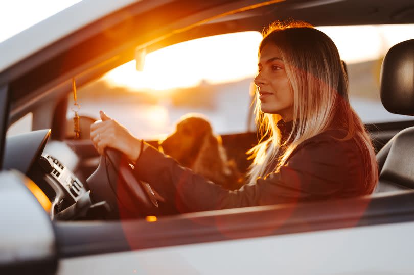 Beautiful young woman traveling by car with her dog