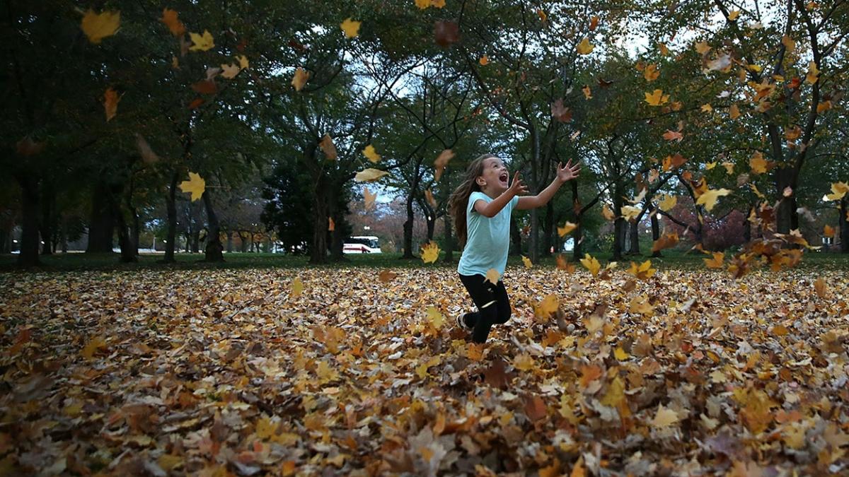 #November warm spell to send temperatures soaring for 250 million Americans by Sunday