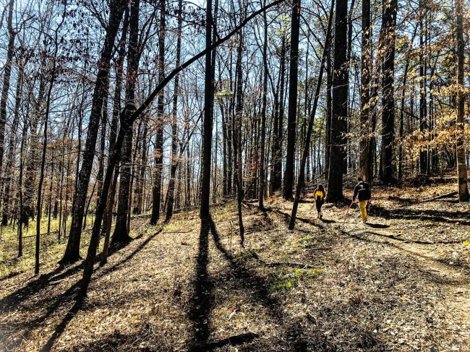 The Turkey Creek Trail near Augusta provides a hiking or mountain biking adventure along its 13-mile out-and-back length. A wide, well-maintained path runs along the contours of the dramatic bluff that follows Turkey and Wine creeks. Here, two hikers enjoy an afternoon exploring the hardwood forest along the creek.