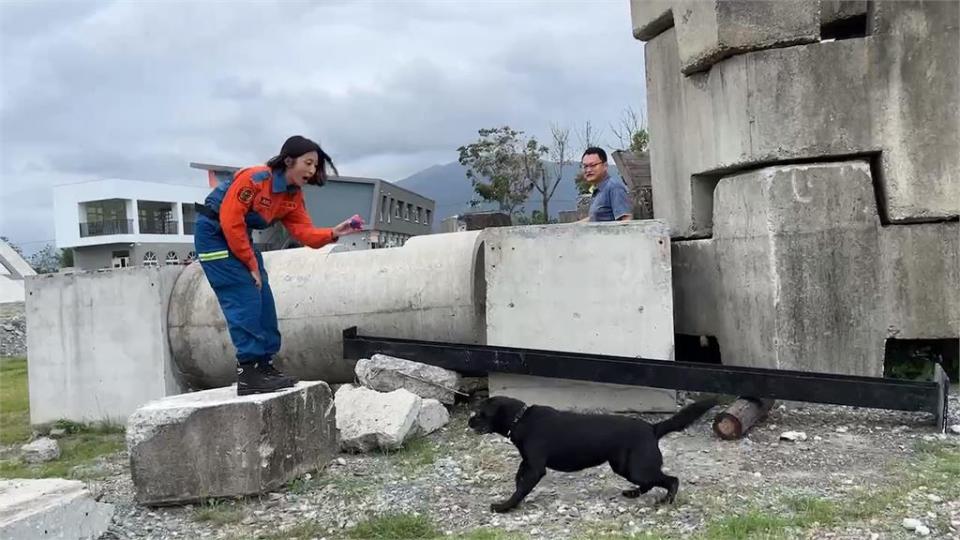 搜救犬養成計畫大公開！　汪星人要愛吃愛玩　遇山豬臨危不亂