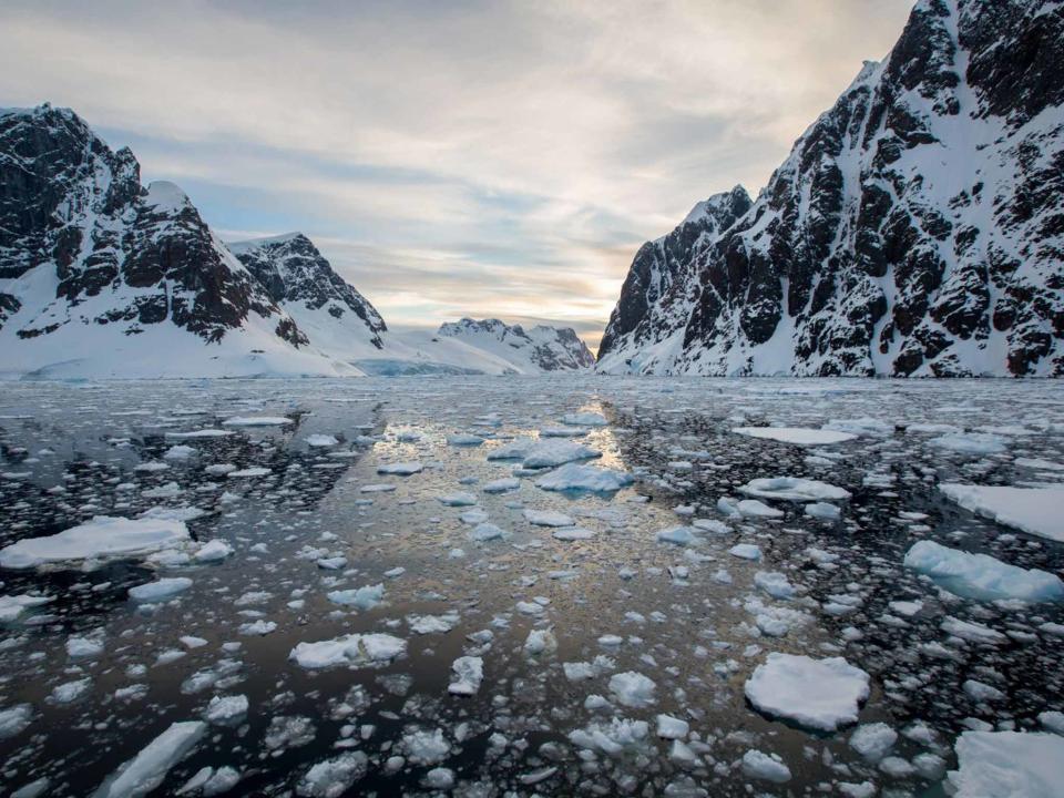 <p>Cruise around Antarctica</p>