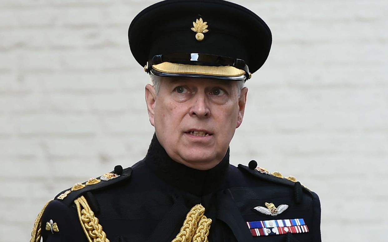 Prince Andrew photographed in military uniform in 2019 - JOHN THYS/AFP