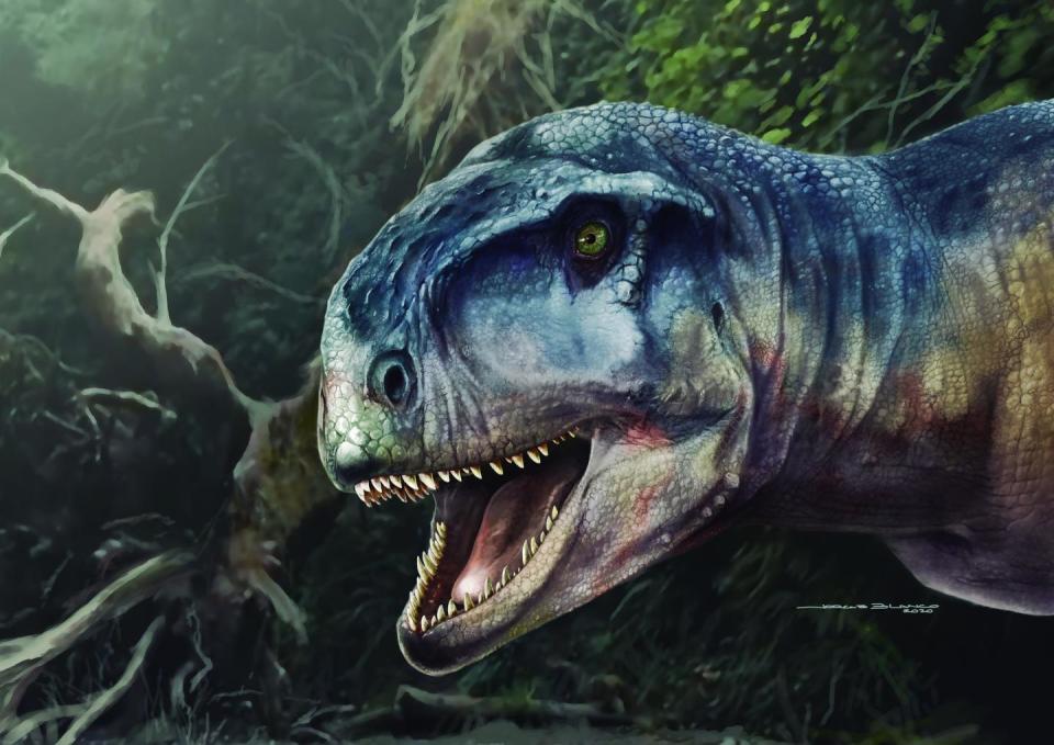 An artist's conception of Llukalkan aliocranianus, a newly discovered species of meat-eating dinosaur. A skull of the dinosaur was found in Argentina.