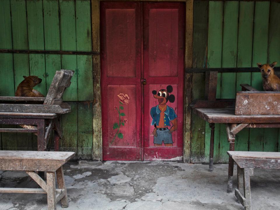 Dogs sit in front of an abandoned house in Mardinding village, less than three kilometers from Mount Sinabung.