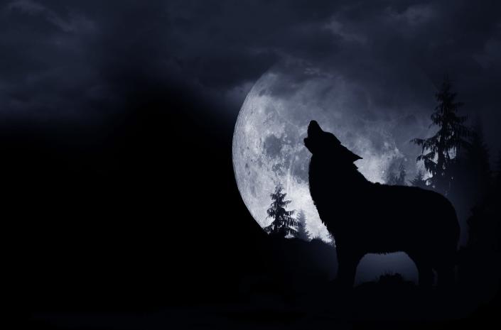 <p>As the first full moon of the year, this moon is considered a "Wolf Moon" by Native Americans and the Old Farmer's Almanac. It was named the Wolf Moon because during this time of year they could hear wolves howling outside of villages.</p>
