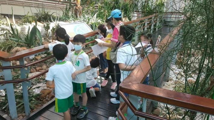 臺北典藏植物園針對學校團體提供更多元的典藏校外教學課程