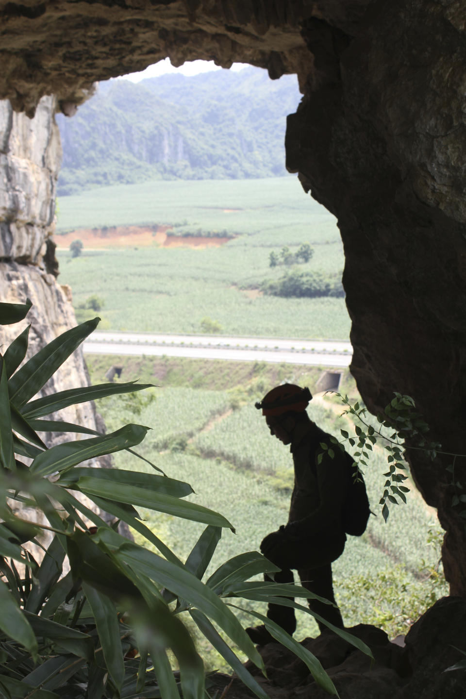 This photo provided by researchers shows an opening of a cave where Gigantopithcus blacki fossils were found, with a view across the alluvial plain, 150 meters (500 feet) above the valley floor, in the Guangxi region of southern China. The extinct species of great ape that once stood around 10 feet tall and weighed up to 650 pounds was likely driven to extinction by environmental changes, scientists in China and Australia report on Wednesday, Jan. 10, 2024 in the journal Nature. (Kira Westaway/Macquarie University via AP)