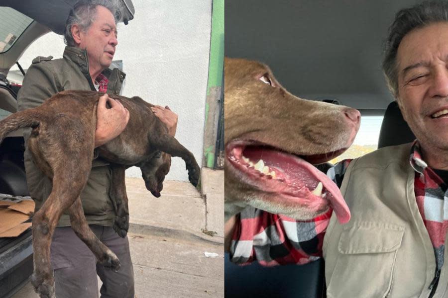 Muere perrito de Jaime Martínez Veloz por quema de cohetes esta Navidad en Tijuana