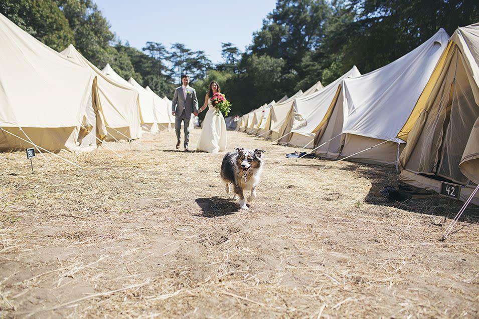 Die glamouröseste Camping-Hochzeit aller Zeiten