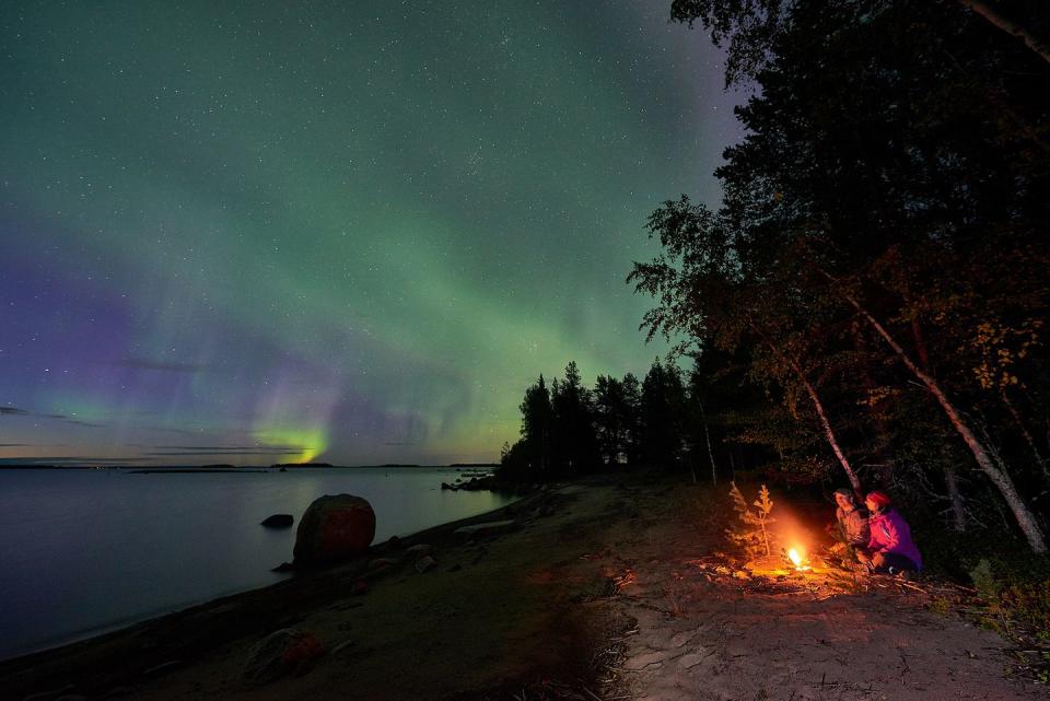 1) Forage for your Arctic dinner under the Lights in Sweden