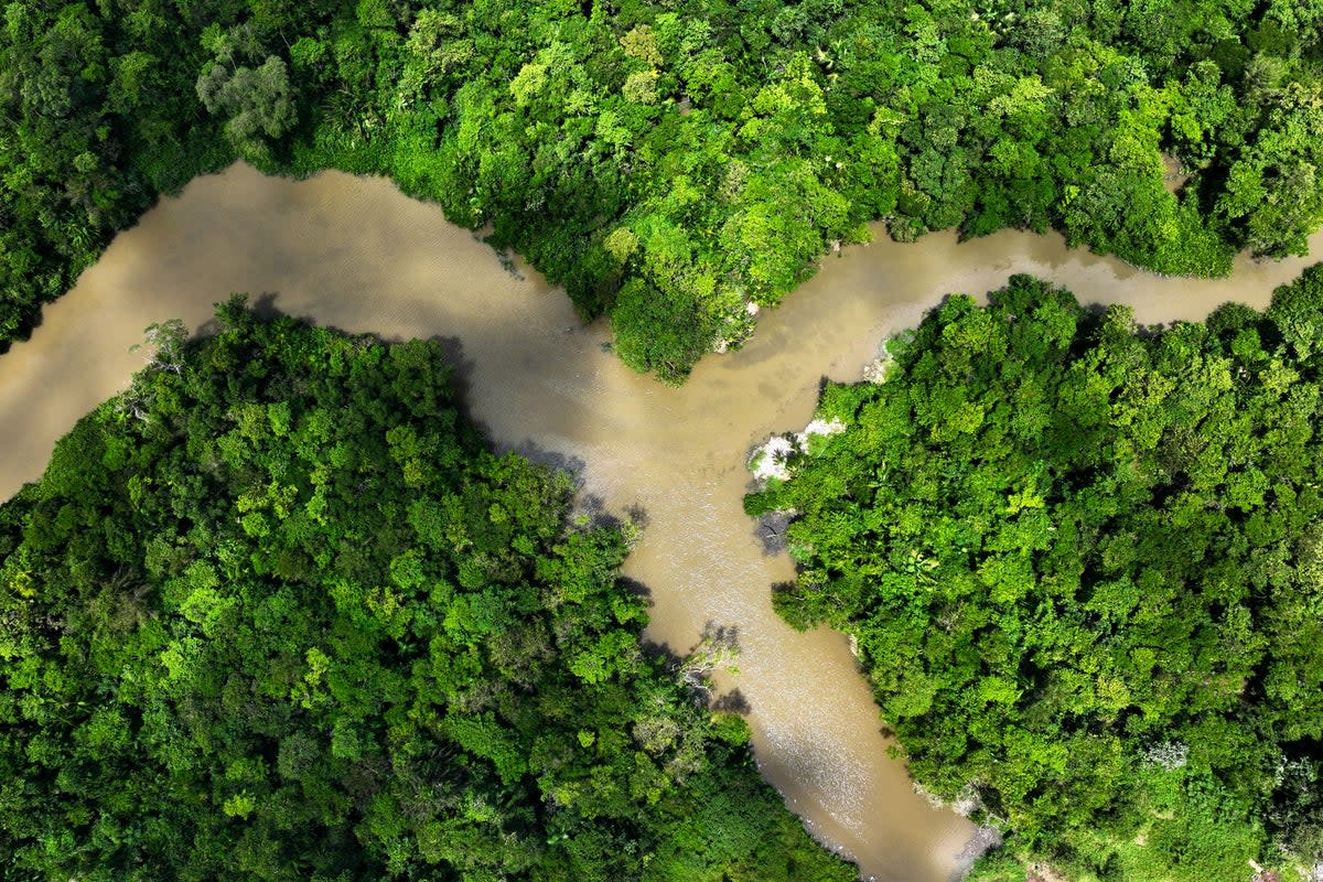 Deforestation in Brazil — which threatens the Amazon Rainforest, pictured above, — could hit an all-time low in the next 1-2 years, one government official said this week. (Reuters/Ueslei Marcelino)