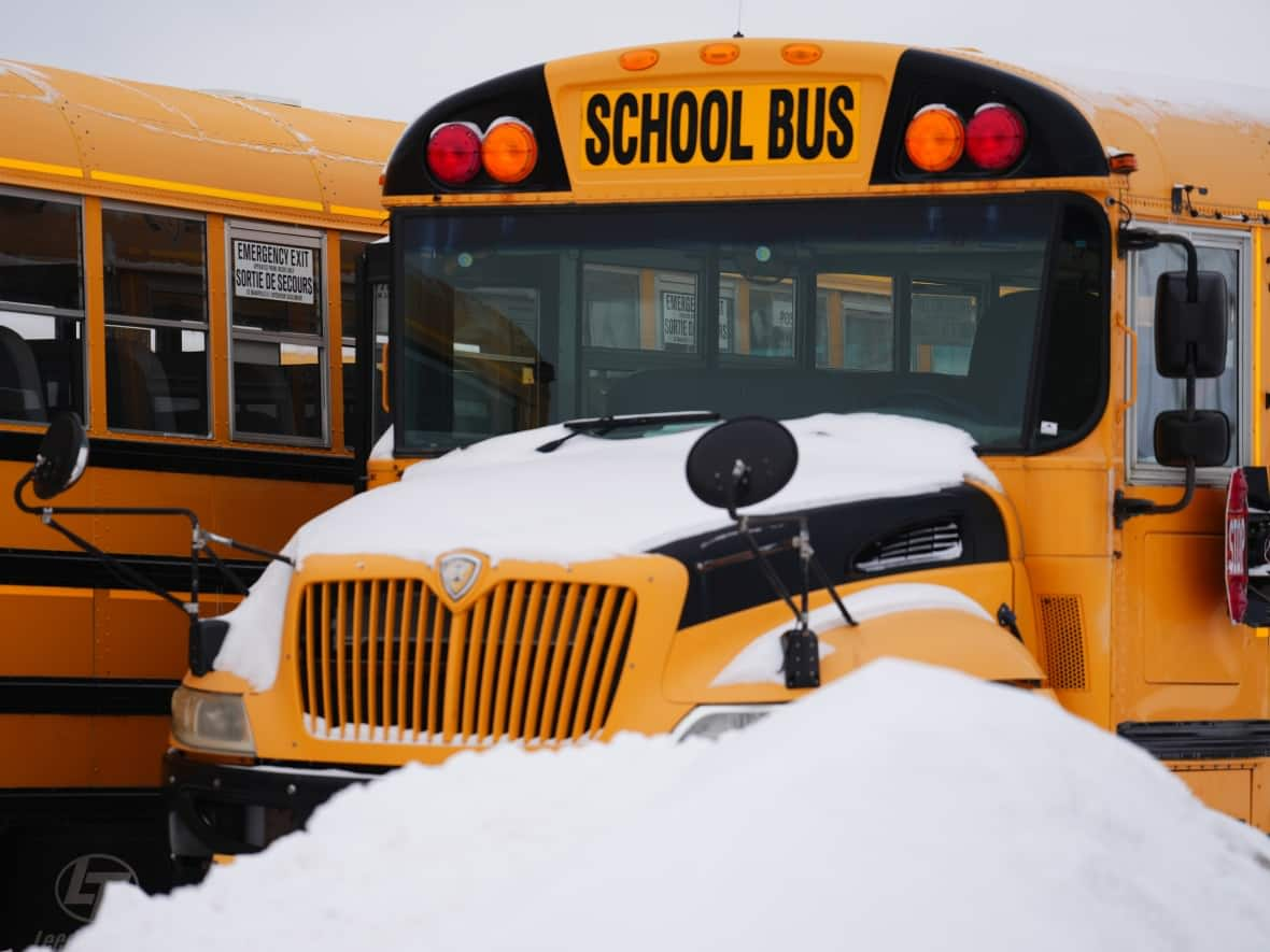 Snow-covered school buses in a lot in Ottawa on Feb. 23, 2023. It's the only area of eastern Ontario to run buses Tuesday. (Sean Kilpatrick/The Canadian Press - image credit)