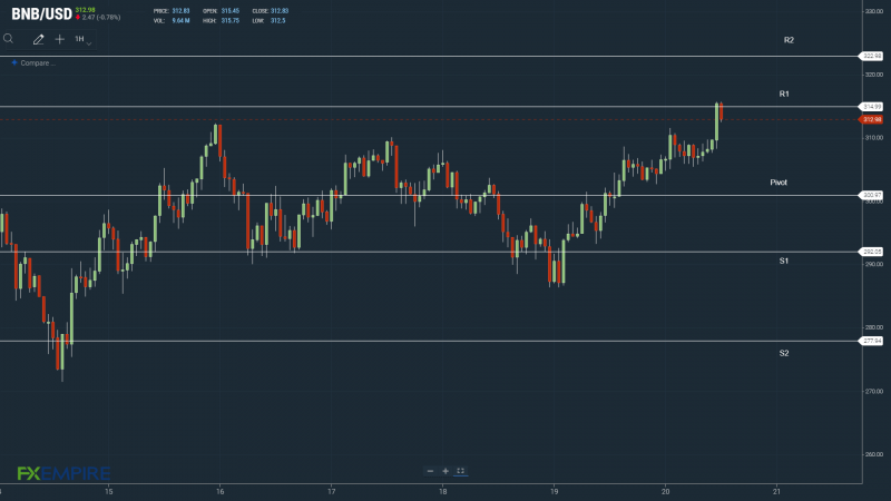 BNBUSD 200522 Hourly Chart