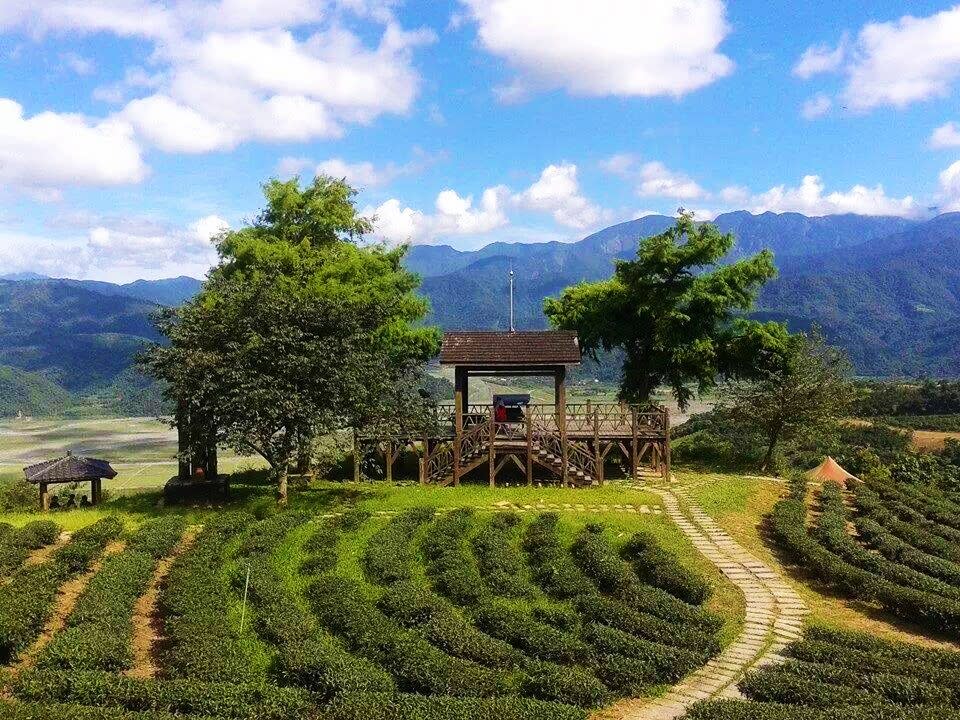 ▲台灣旅遊包車路線推薦-宜蘭玉蘭茶園。（圖／Tripbaa趣吧！亞洲自由行專家）