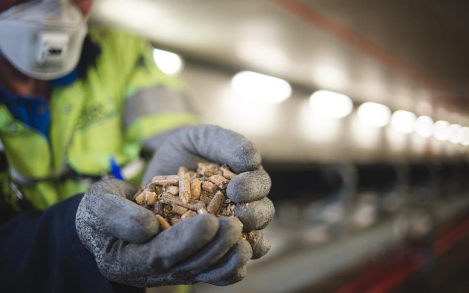 Drax uses wood pellets to power UK homes - DanLewis/VisMedia