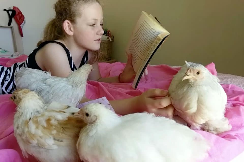 Her and her mum have set up Chickens to Love. Photo: Caters News