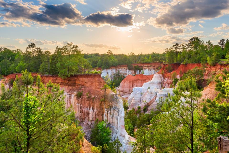 Providence Canyon, GA, USA